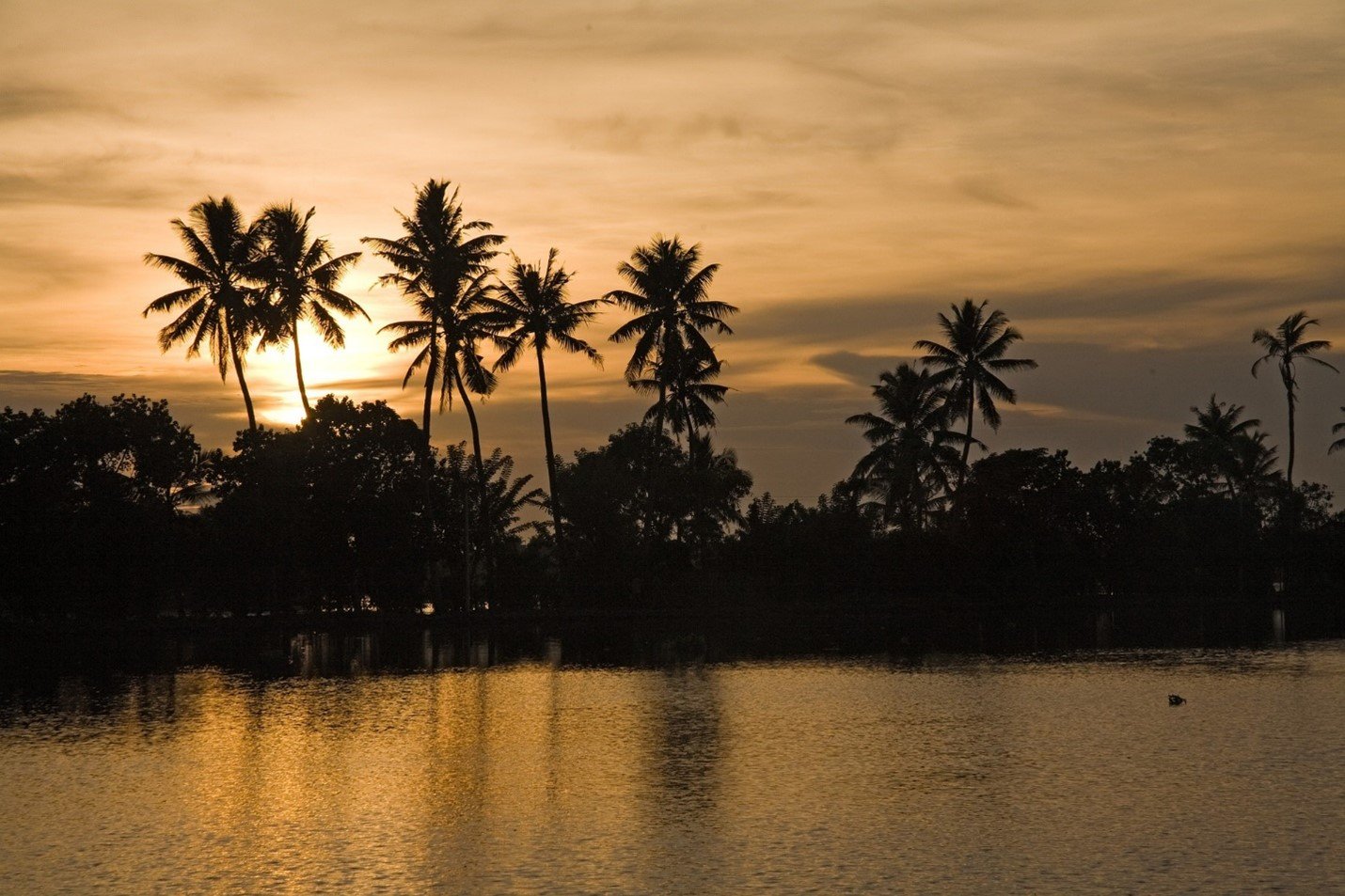 Destination